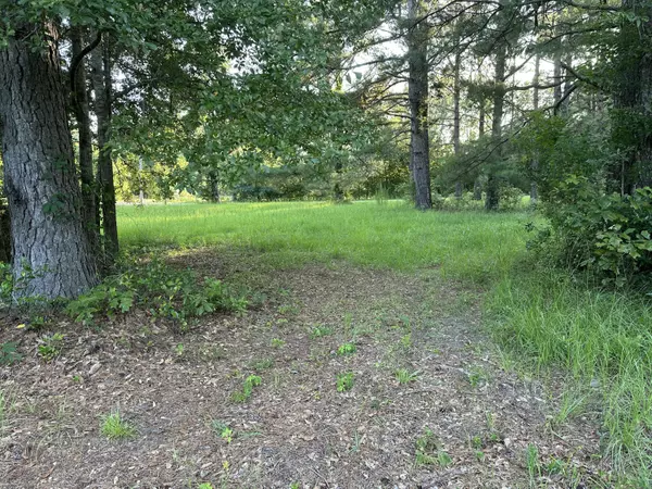 Cottageville, SC 29435,250 Lindaville Ln