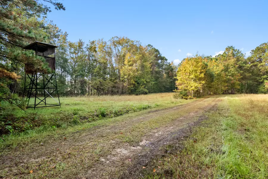 527 Acres Spring Grove Road, Adams Run, SC 29426
