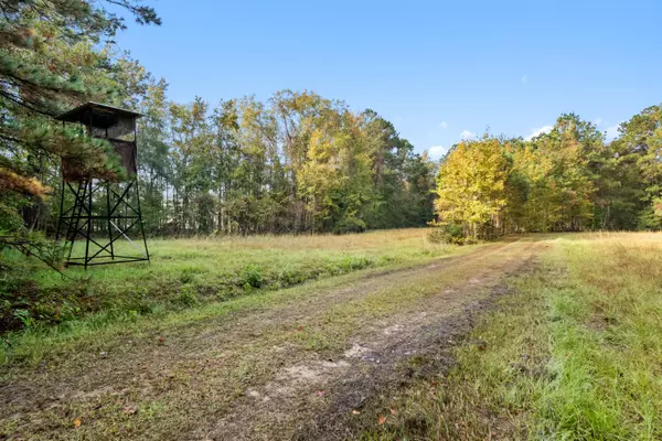 527 Acres Spring Grove Road, Adams Run, SC 29426