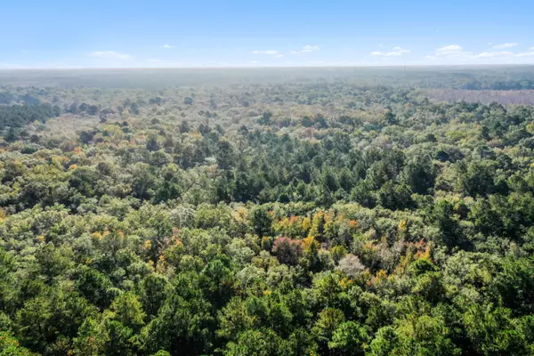 Adams Run, SC 29426,527 Acres Spring Grove Road