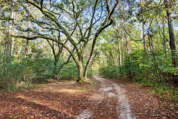 Adams Run, SC 29426,527 Acres Spring Grove Road