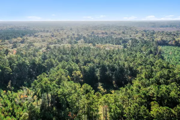 Adams Run, SC 29426,527 Acres Spring Grove Road