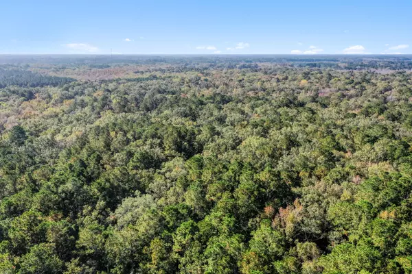 Adams Run, SC 29426,527 Acres Spring Grove Road