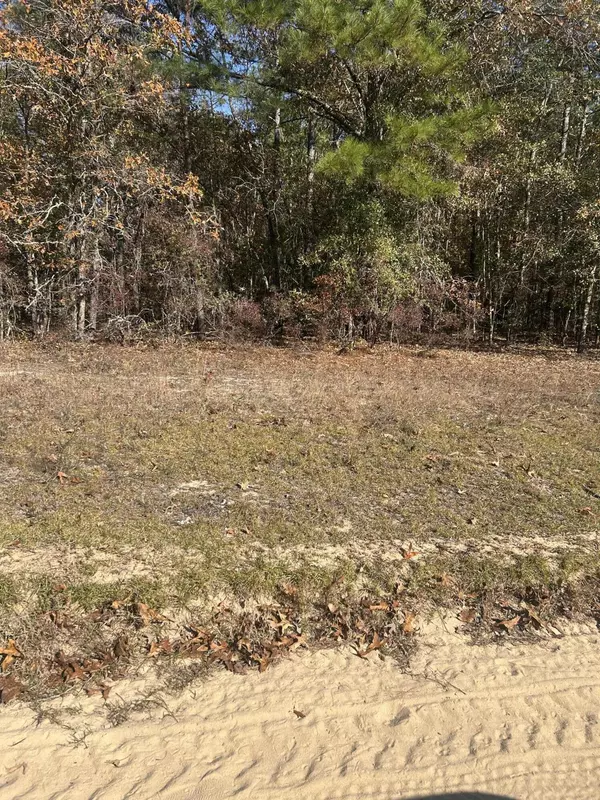 Saint Matthews, SC 29135,0 Hawthorne Trl