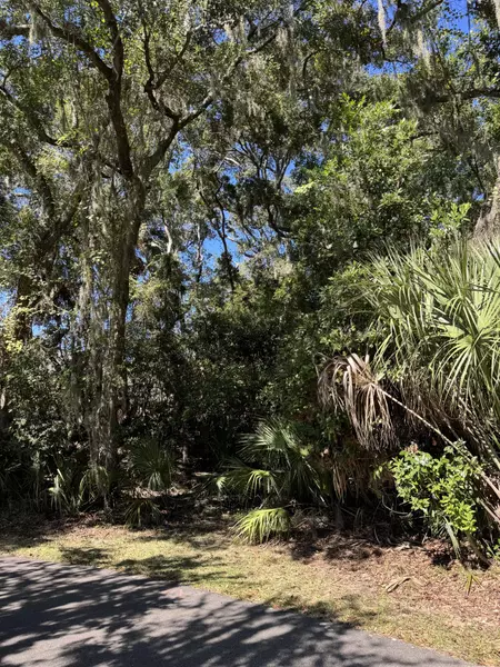 0 King Cotton Rd, Edisto Beach, SC 29438