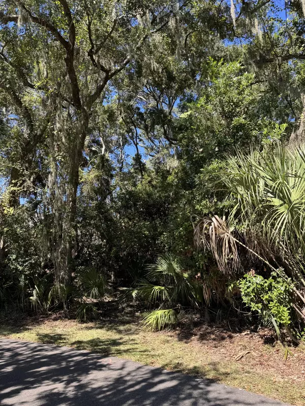 0 King Cotton Rd, Edisto Beach, SC 29438