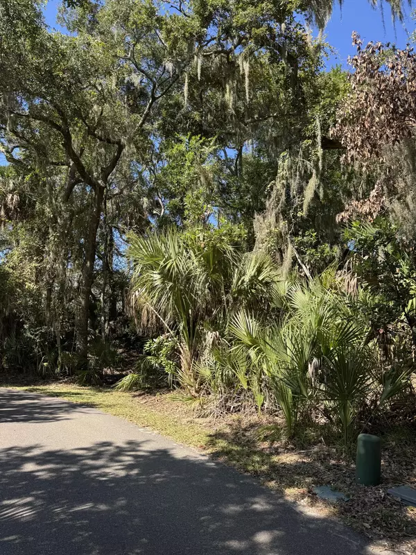 Edisto Beach, SC 29438,0 King Cotton Rd