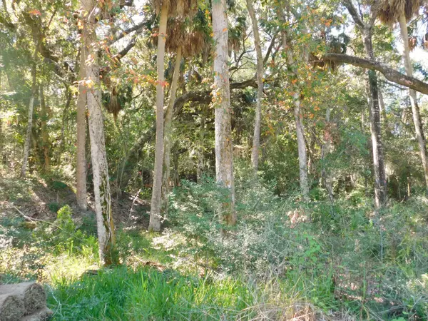 Edisto Beach, SC 29438,0 Cheehaw St #Lot M