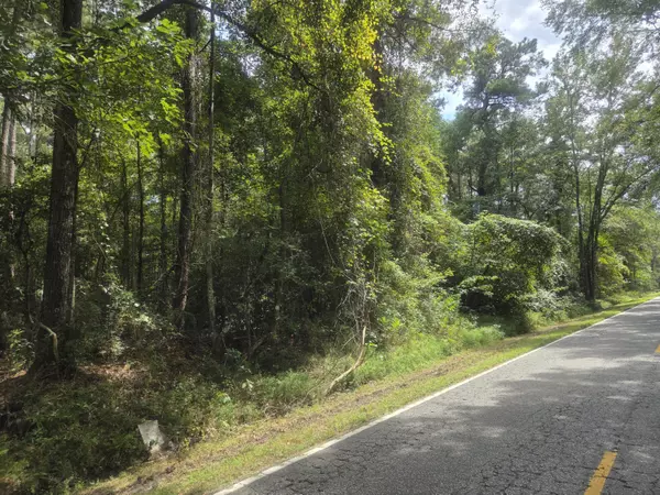 Cottageville, SC 29435,0 Jacksonboro Rd