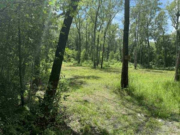 Ridgeville, SC 29472,133 Boykin Ln