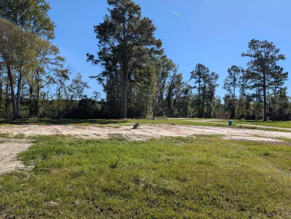 Walterboro, SC 29488,350 Pervis Ln #Lot 4