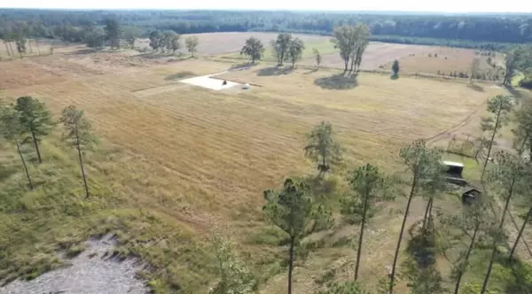 Ruffin, SC 29475,6754 Ruffin Rd