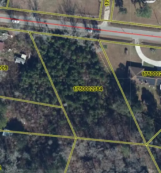 0 Gaddist Road Rd, Ridgeville, SC 29472