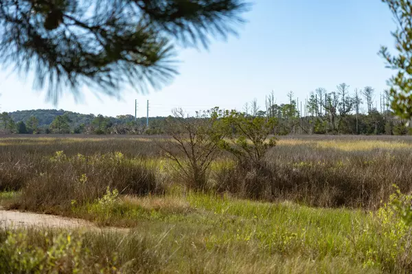 Johns Island, SC 29455,2389 Rushland Landing Road