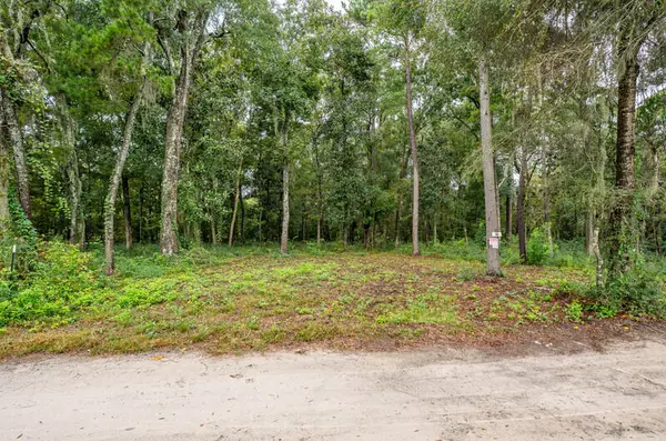 Beaufort, SC 29902,44 Presnell Cir