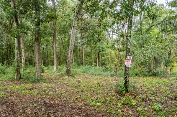 Beaufort, SC 29902,42 Presnell Cir