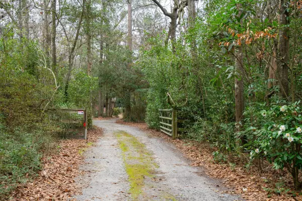 Summerville, SC 29483,415 W Carolina Ave