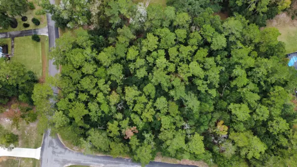 Walterboro, SC 29488,Lot 10 Plantation Ln