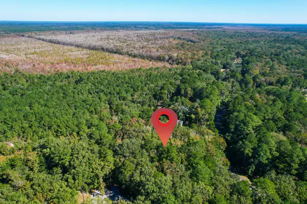 Ravenel, SC 29470,6682 Pepper Grass Trl