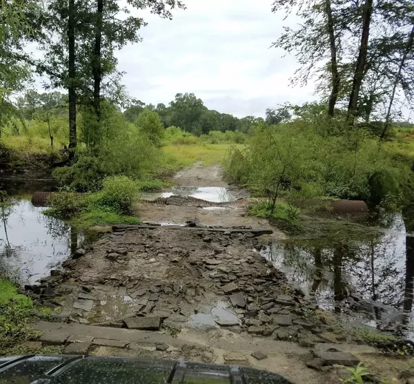 Ridgeville, SC 29472,0000 Pierce Rd