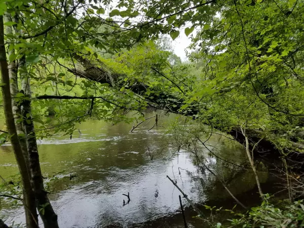 0000 Pierce Rd, Ridgeville, SC 29472