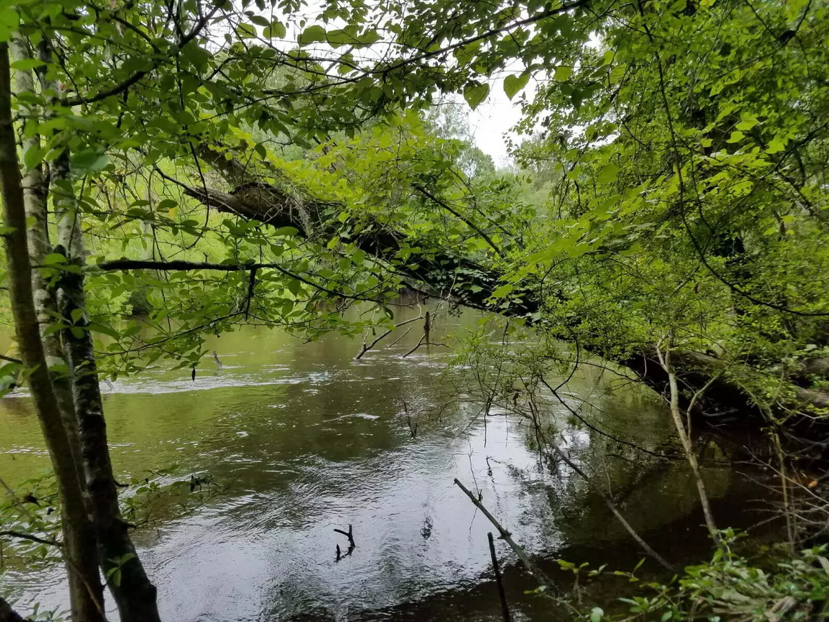 Ridgeville, SC 29472,0000 Pierce Rd