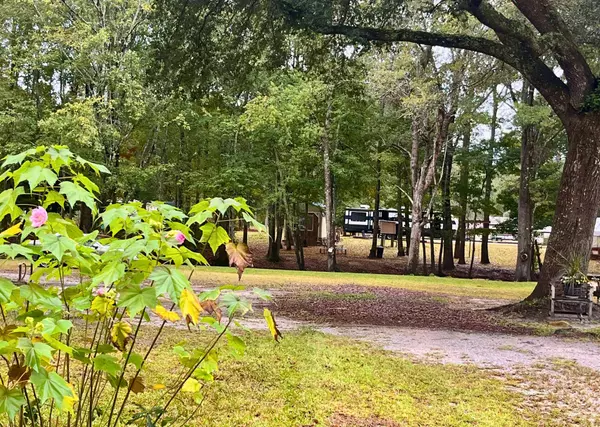 0 Catfish Ct, Ridgeville, SC 29472