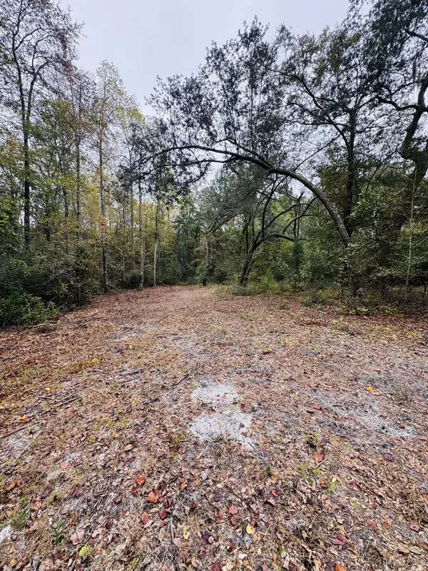 Dorchester, SC 29437,0 Fisk Rd