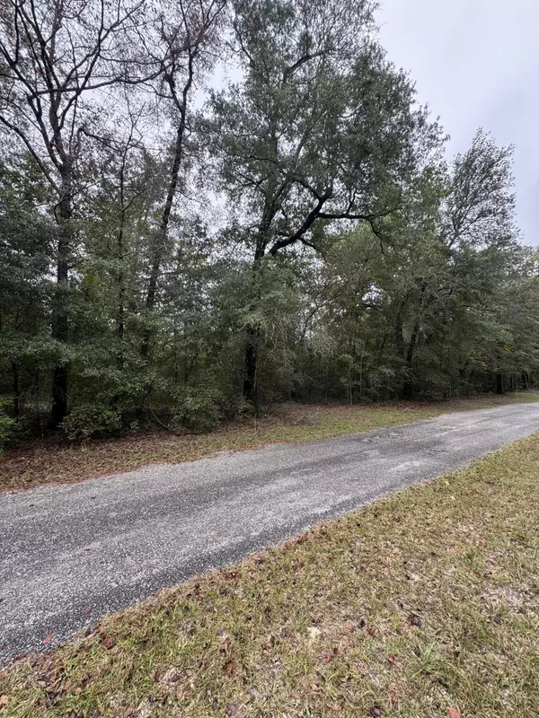 Dorchester, SC 29437,00 Fisk Rd