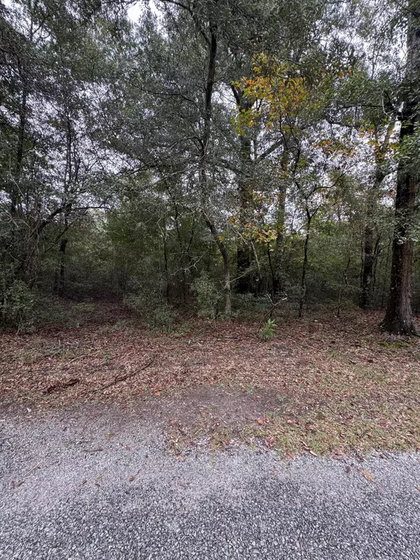 Dorchester, SC 29437,00 Fisk Rd