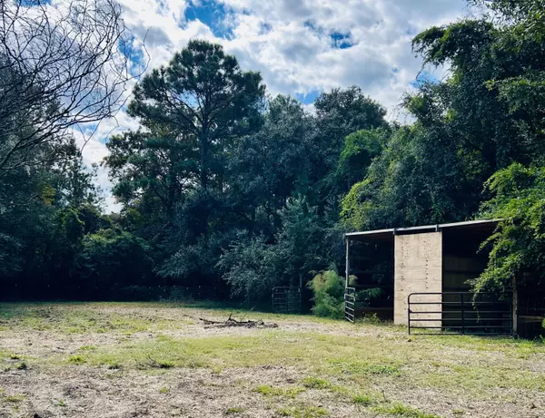 Mcclellanville, SC 29458,1063 S Pinckney St