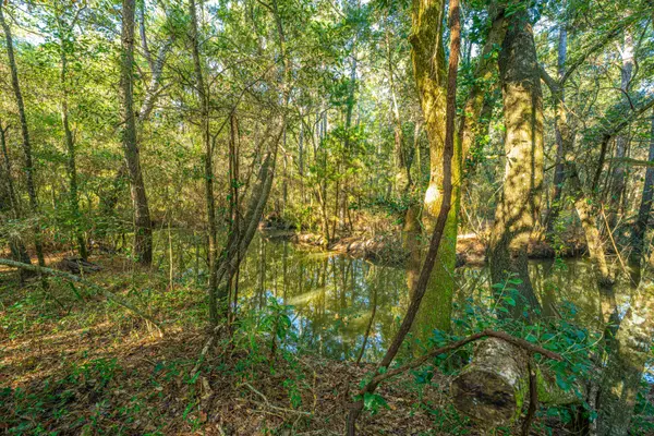 Mcclellanville, SC 29458,1063 S Pinckney St