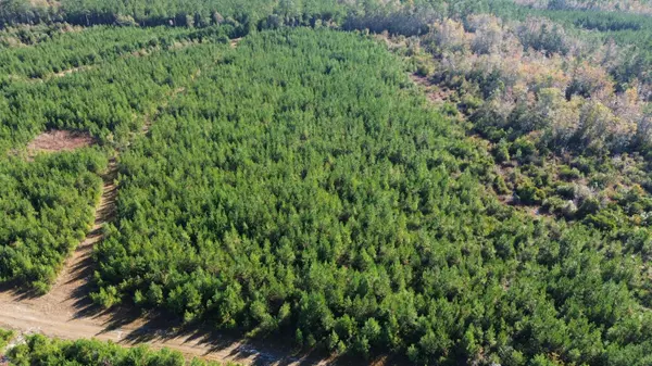 Cross, SC 29436,16 Hwy 311