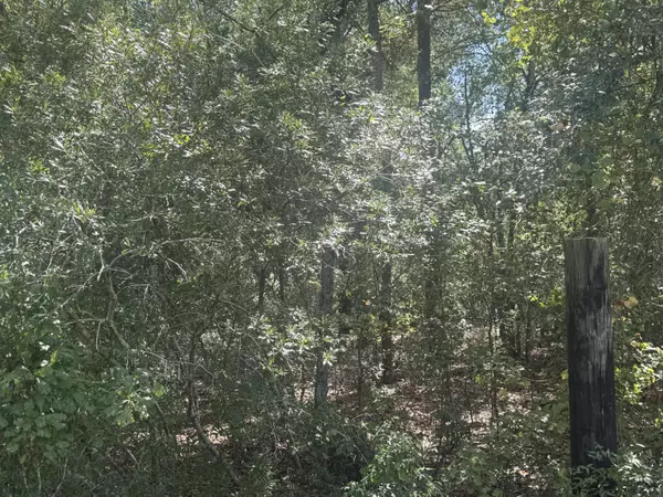 North, SC 29112,1571,1651 Creek Mill Rd