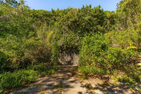 Sullivans Island, SC 29482,3019 Ion Ave