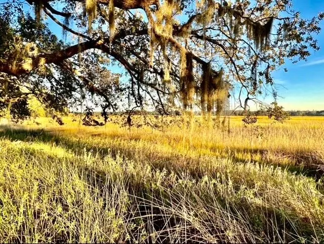 Seabrook, SC 29940,481 Paige Point