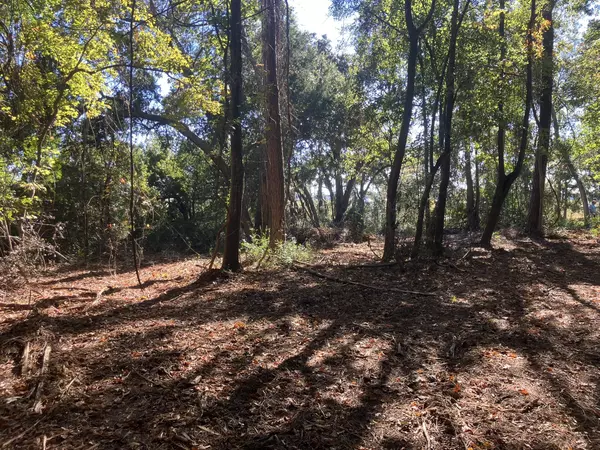 Seabrook, SC 29940,481 Paige Point