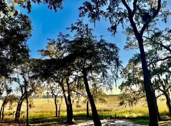 Seabrook, SC 29940,481 Paige Point