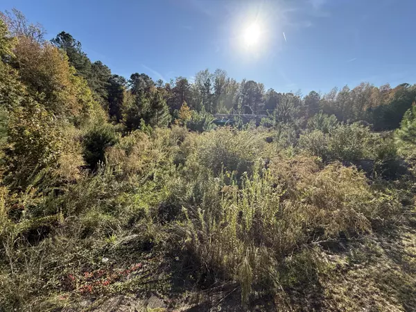 Kingstree, SC 29556,37 Saxon Rd