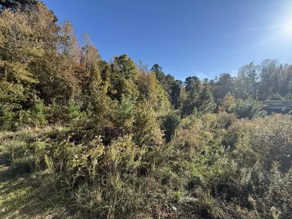 Kingstree, SC 29556,37 Saxon Rd