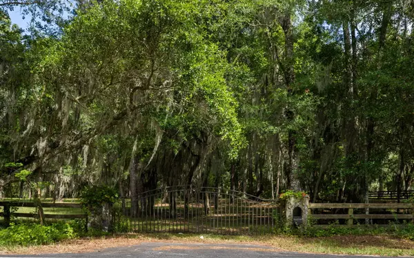 Johns Island, SC 29455,0 Thorn Chase Ln