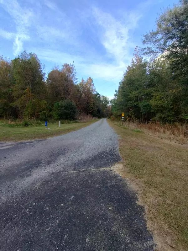 Kingstree, SC 29556,236 Julius Rd