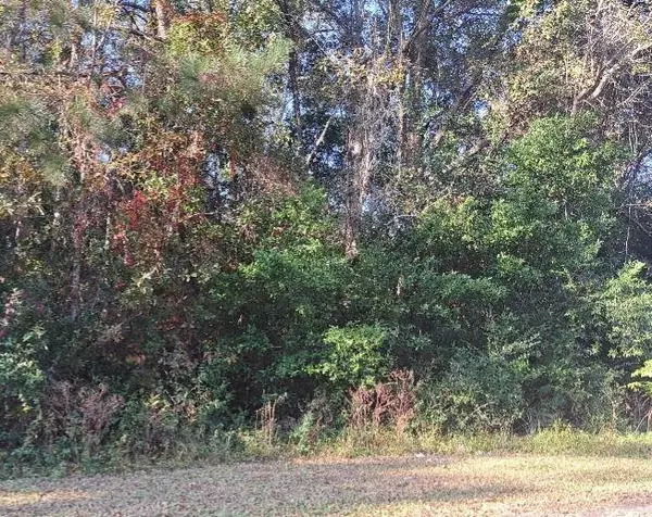 Elloree, SC 29047,38-121 Hampton Street