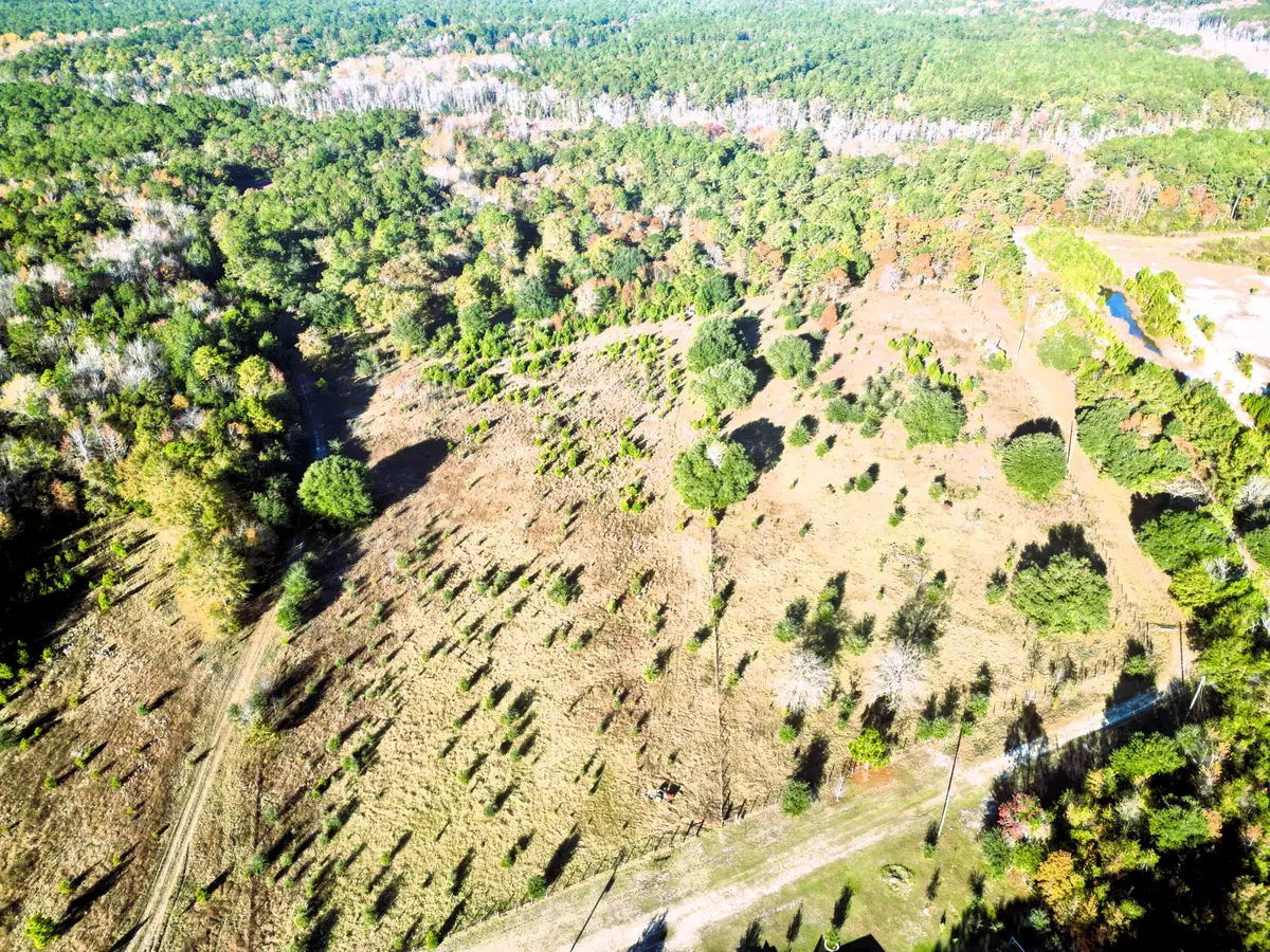 Dorchester, SC 29437,00 Virginia Rd