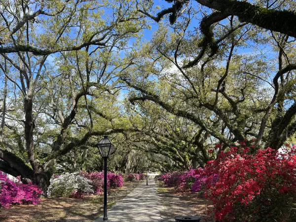 Charleston, SC 29407,1054 Avenue Of Oaks