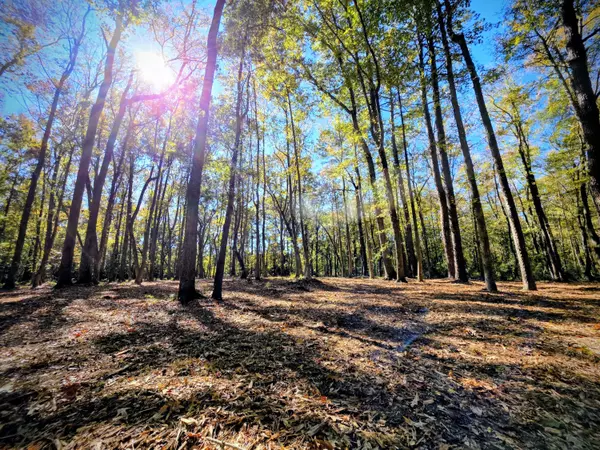 Johns Island, SC 29455,3047 Fickling Hill Rd #C-2