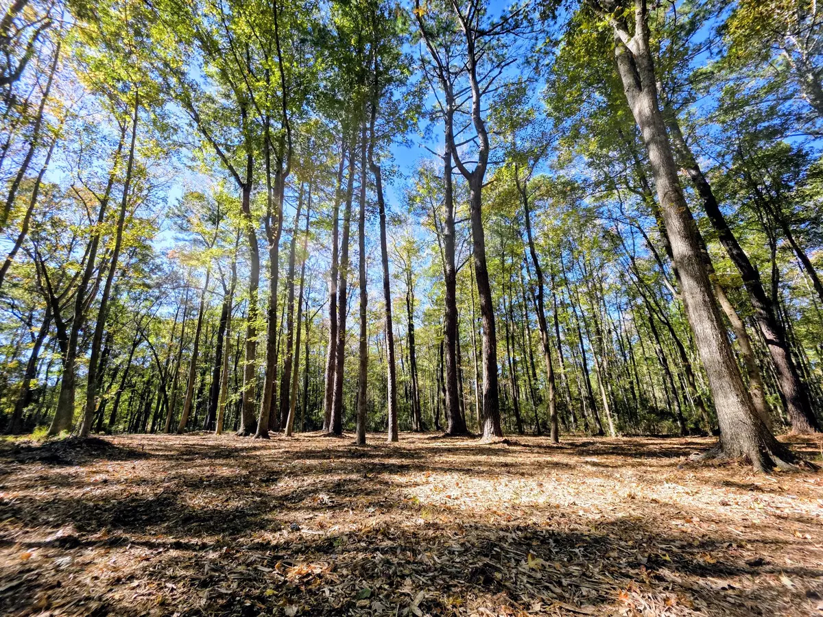 Johns Island, SC 29455,3047 Fickling Hill Rd #C-2