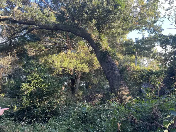 Meggett, SC 29449,7690 Toogoodoo Rd