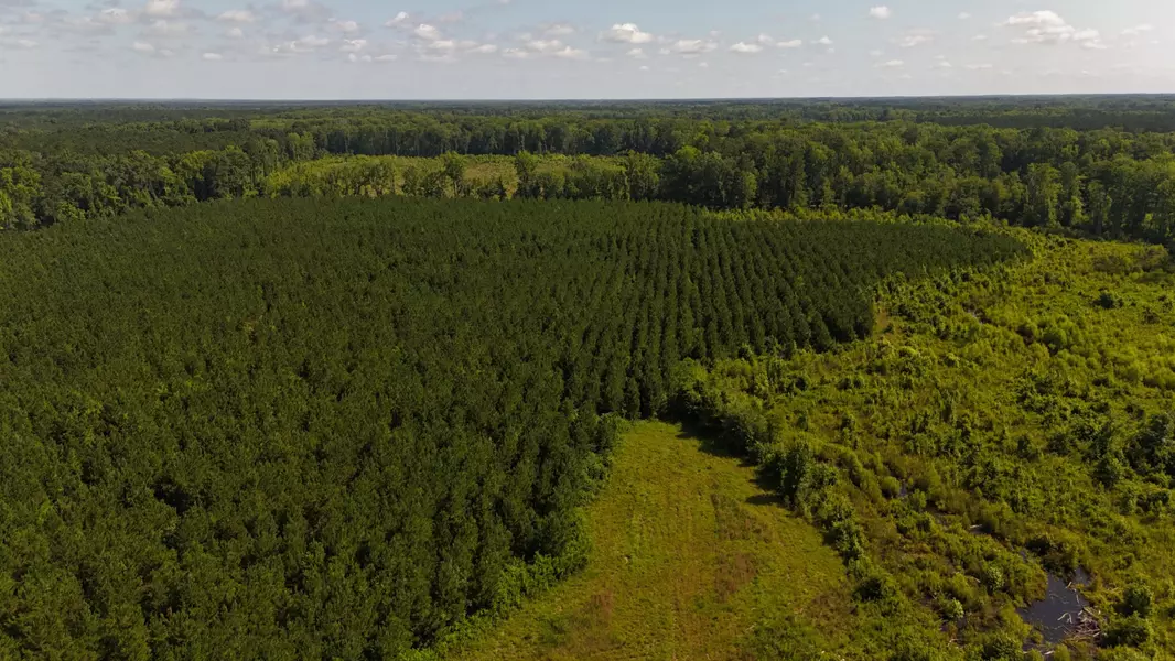 0 Palmetto Sands Rd, Branchville, SC 29432