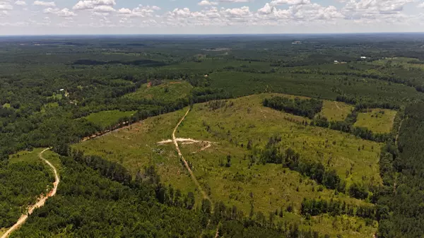 Chester, SC 29706,0 Halsellville Rd Rd